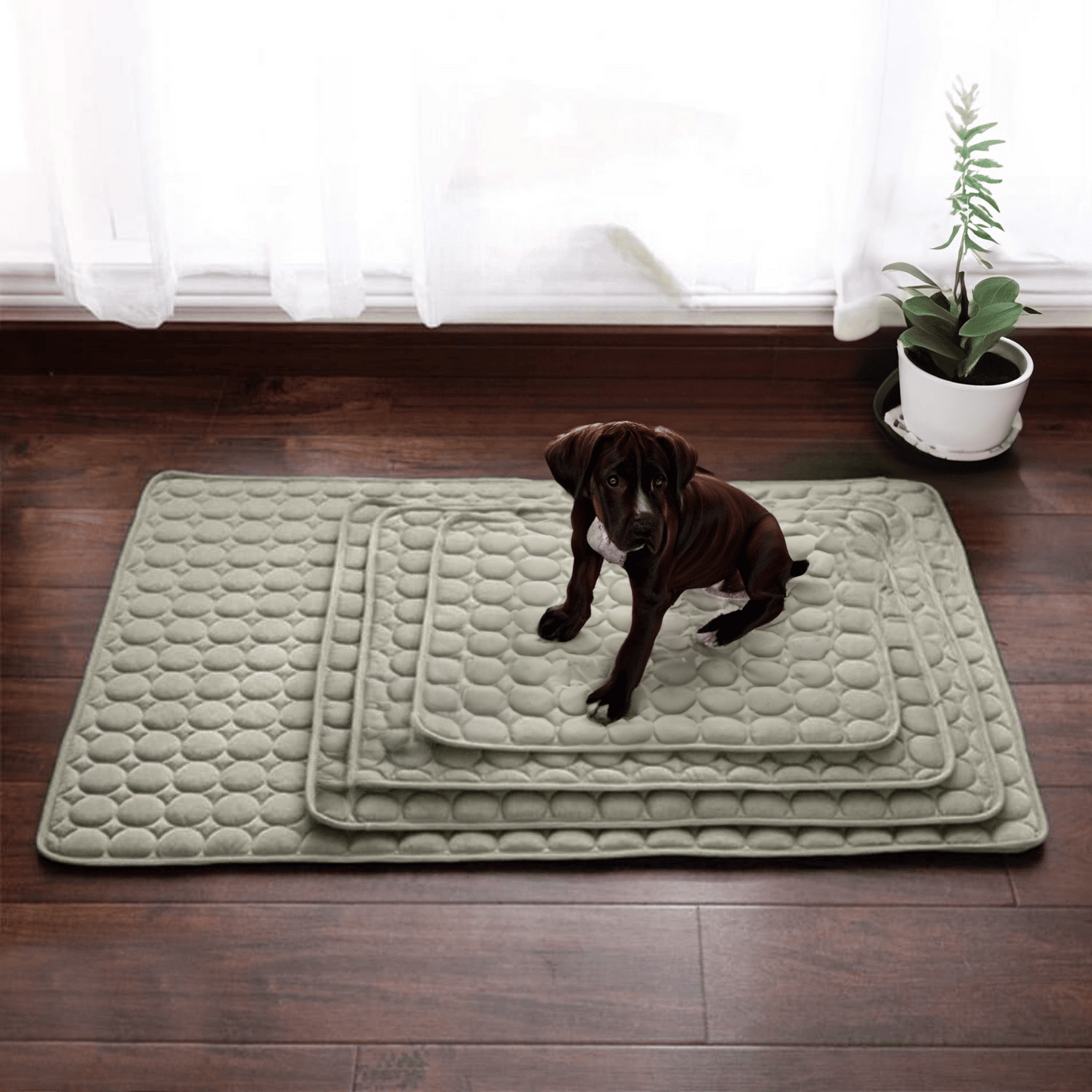 Innovative Kühlmatte für Hunde (4x Kühlkraft) - ChillComfort