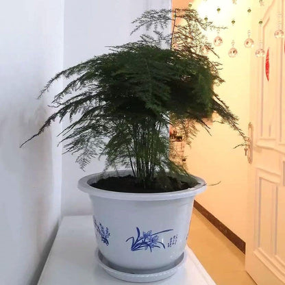 Blumentopf aus Kunststoff mit Bambusmotiv – Eleganter Pflanztopf für Balkon und Garten
