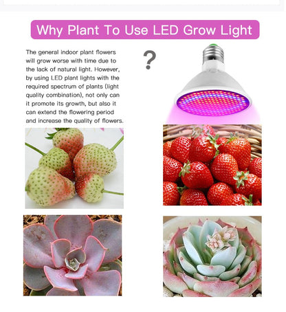 Goodland Phytolampe Vollspektrum LED Pflanzenlicht E27 Phytolampe für Pflanzen Pflanzenlampe für Setzlinge Blüte Fitolampe Grow Zelt