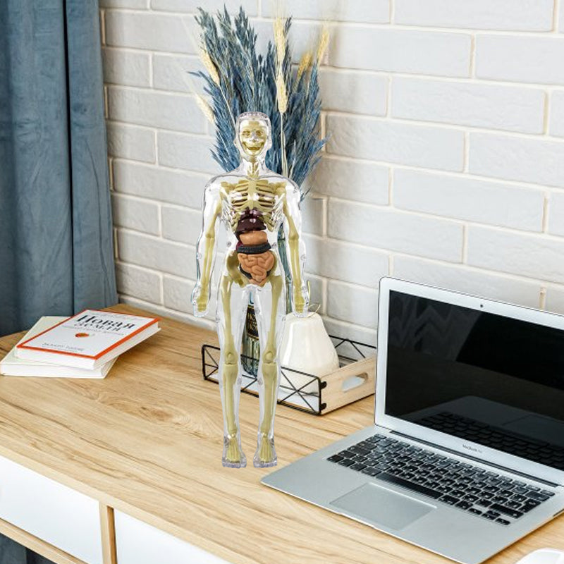 KörperEntdecker™ Spielerisches Lernen der Anatomie für Kinder | 50% RABATT