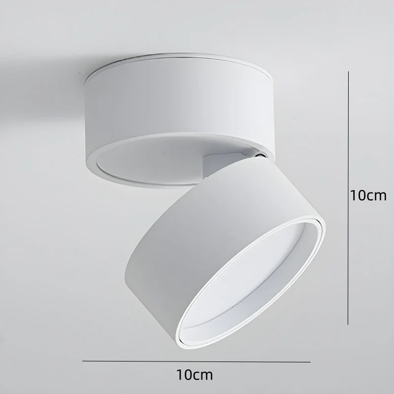 LED-Deckenleuchte mit verstellbarem Spotlichtkopf