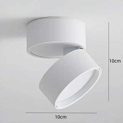 LED-Deckenleuchte mit verstellbarem Spotlichtkopf