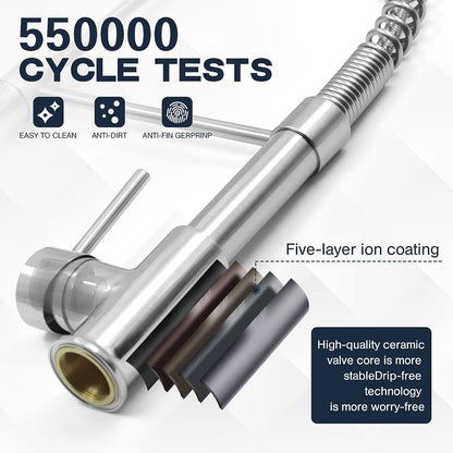 Luxora Einloch-Feder-Küchenarmatur mit ausziehbarem Brausekopf