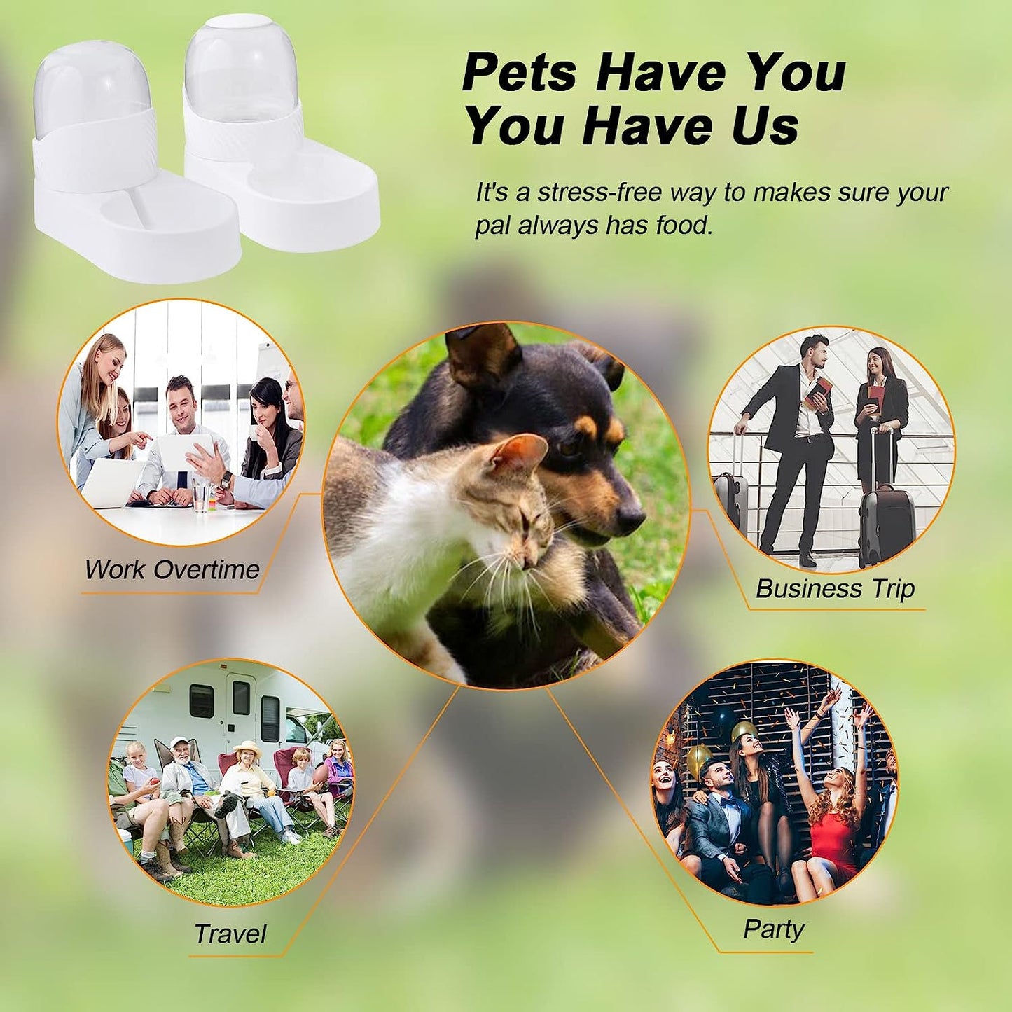 Automatischer Hundefutter- und Wasserspender-Set