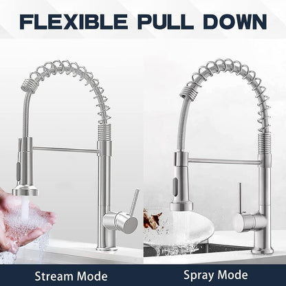 Luxora Einloch-Feder-Küchenarmatur mit ausziehbarem Brausekopf