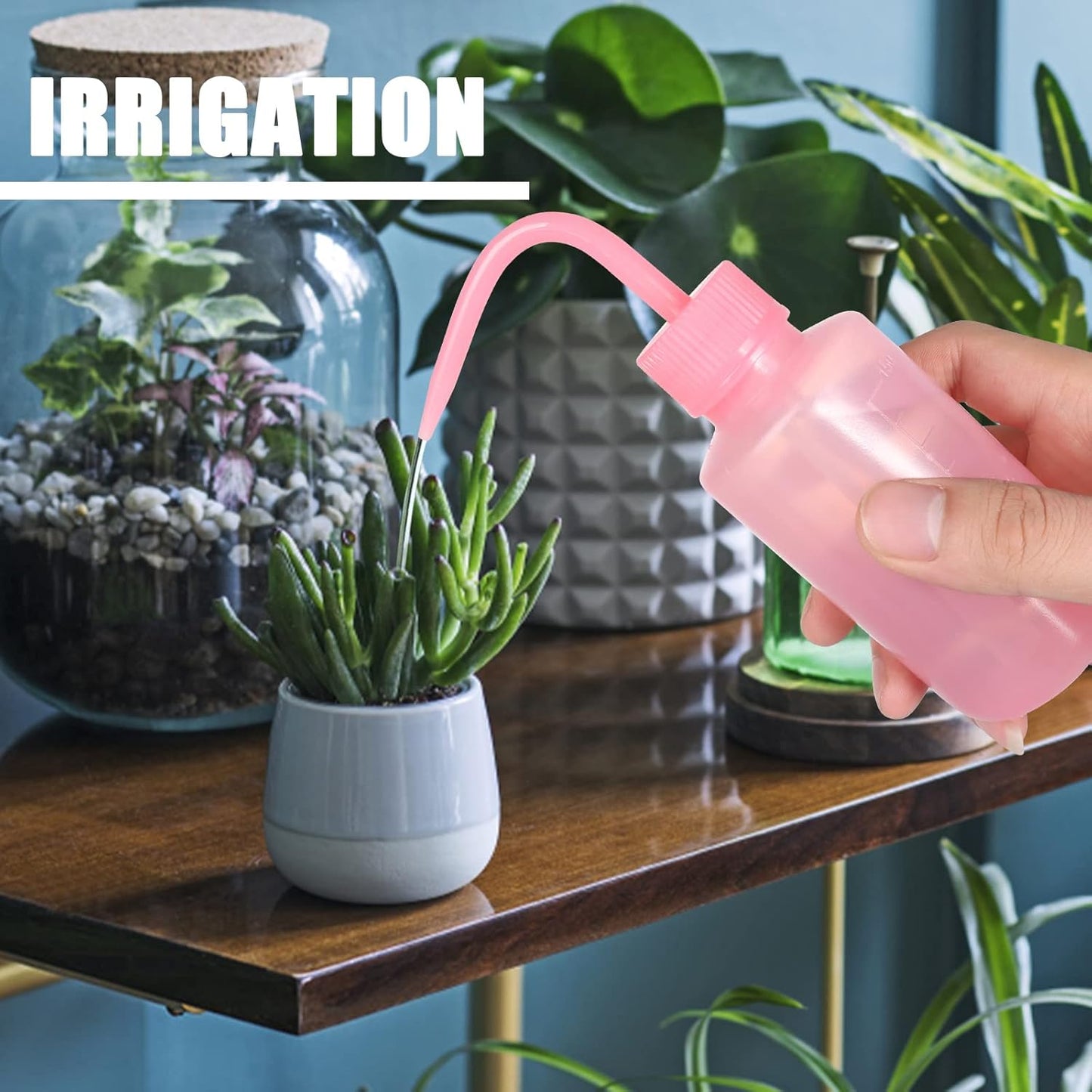 Spot 250ml Squeeze Gießflasche – Kompakte Sprühflasche für präzises Gießen und Dosieren