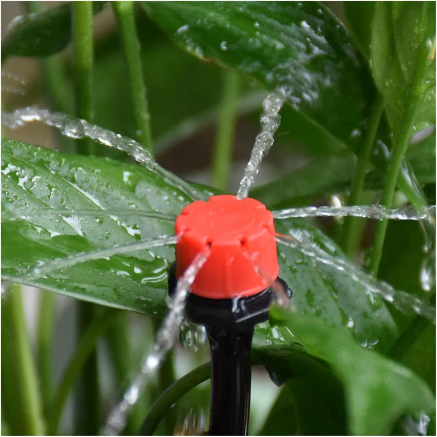 Automatisches Tropfbewässerungssystem für Pflanzen - Effiziente Wasserzufuhr für Garten und Balkon