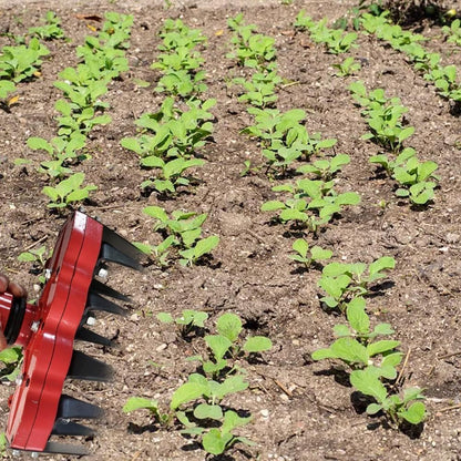 Unkrautentferner Kopfaufsatz – Effizientes Rasenpflegewerkzeug für das Entfernen von Unkraut