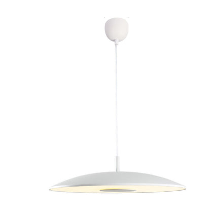 Hängende LED-Lampe Design Nordisch Modern – Elegante Beleuchtung aus Eisen und Nickel