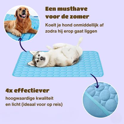 Innovative Kühlmatte für Hunde (4x Kühlkraft) - ChillComfort