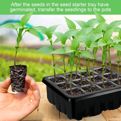 Anzuchtset mit Licht – Komplettes Set für Erfolgreiche Pflanzenanzucht