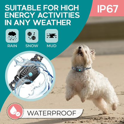 BarkEase Anti-Glocken Kragen | Für kleine Hunde