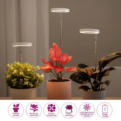 Garduru Grow - Elegante LED Phyto Grow Lampe