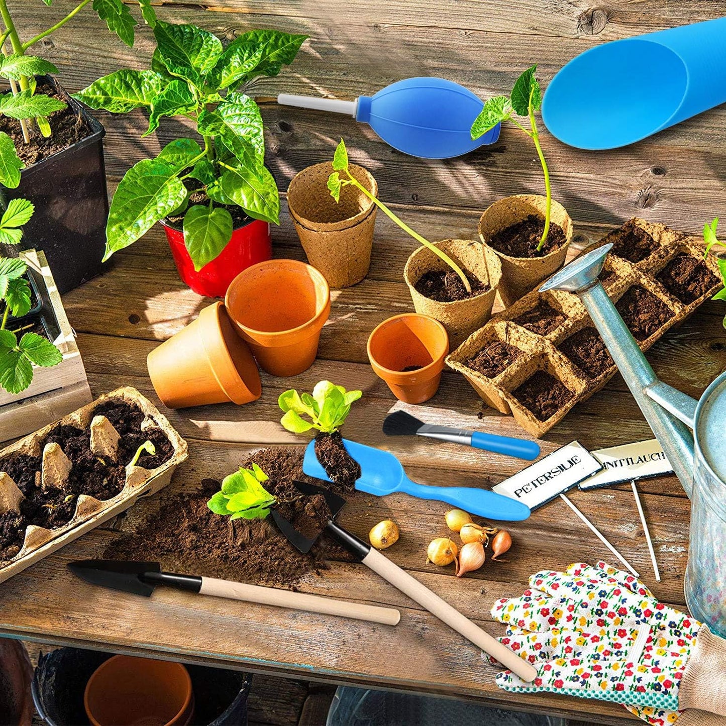 Sukkulentengarten-Werkzeug-Set mit Sprühflasche und Zubehör