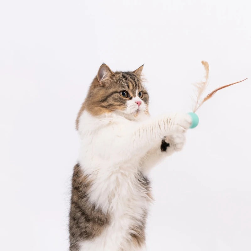 BounceFeather - Interaktiver Spielball für Haustiere