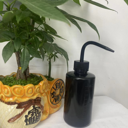 Spot 250ml Squeeze Gießflasche – Kompakte Sprühflasche für präzises Gießen und Dosieren