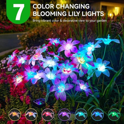 🔥HEISSER VERKAUF 50% RABATT🔥🎄Solarbetriebene blühende Lilienblumen Lichter🎄