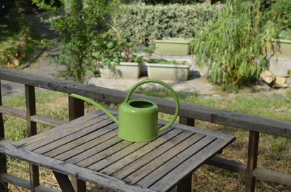 Stylish metal watering can for plant care and watering
