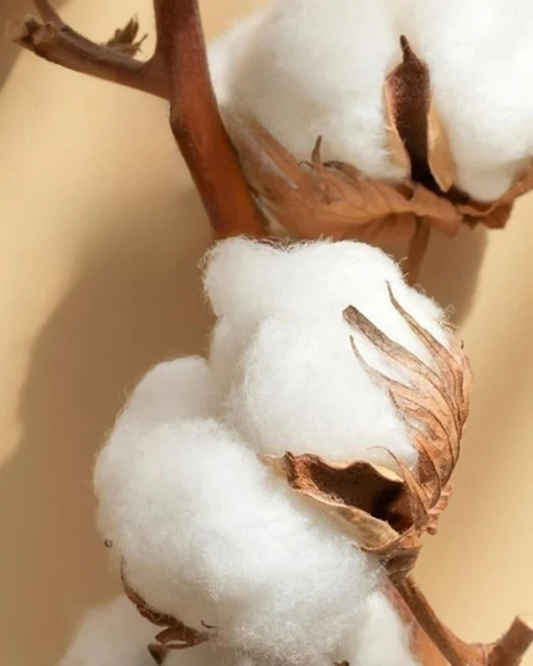 Serenity Luxe – 4-teiliges Baumwollsatin-Bettwäsche-Set mit eleganter Stickerei