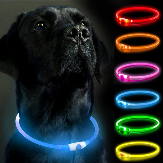 Leuchtendes LED-Halsband wiederaufladbar für Hunde | GlowPup