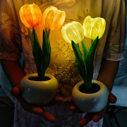 Garduru LED Nachtlicht Tischlampe | Kreatives Blumen-Design | Tulpe & Pfingstrose | Stimmungslicht