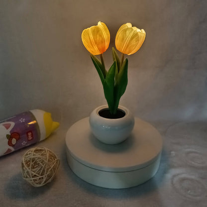 Garduru LED Nachtlicht Tischlampe | Kreatives Blumen-Design | Tulpe & Pfingstrose | Stimmungslicht