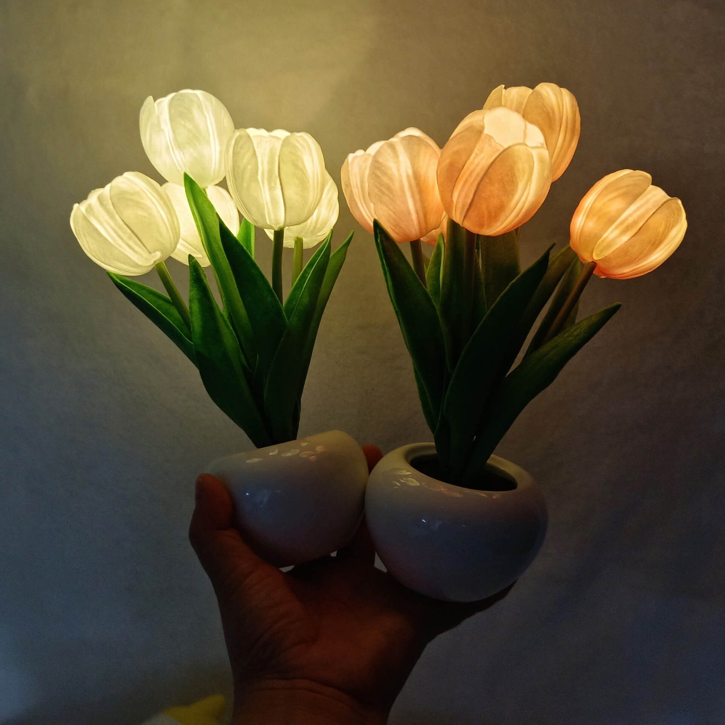 Garduru LED Nachtlicht Tischlampe | Kreatives Blumen-Design | Tulpe & Pfingstrose | Stimmungslicht