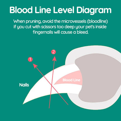 Bester Nagelknipser für Hunde | PawTrim