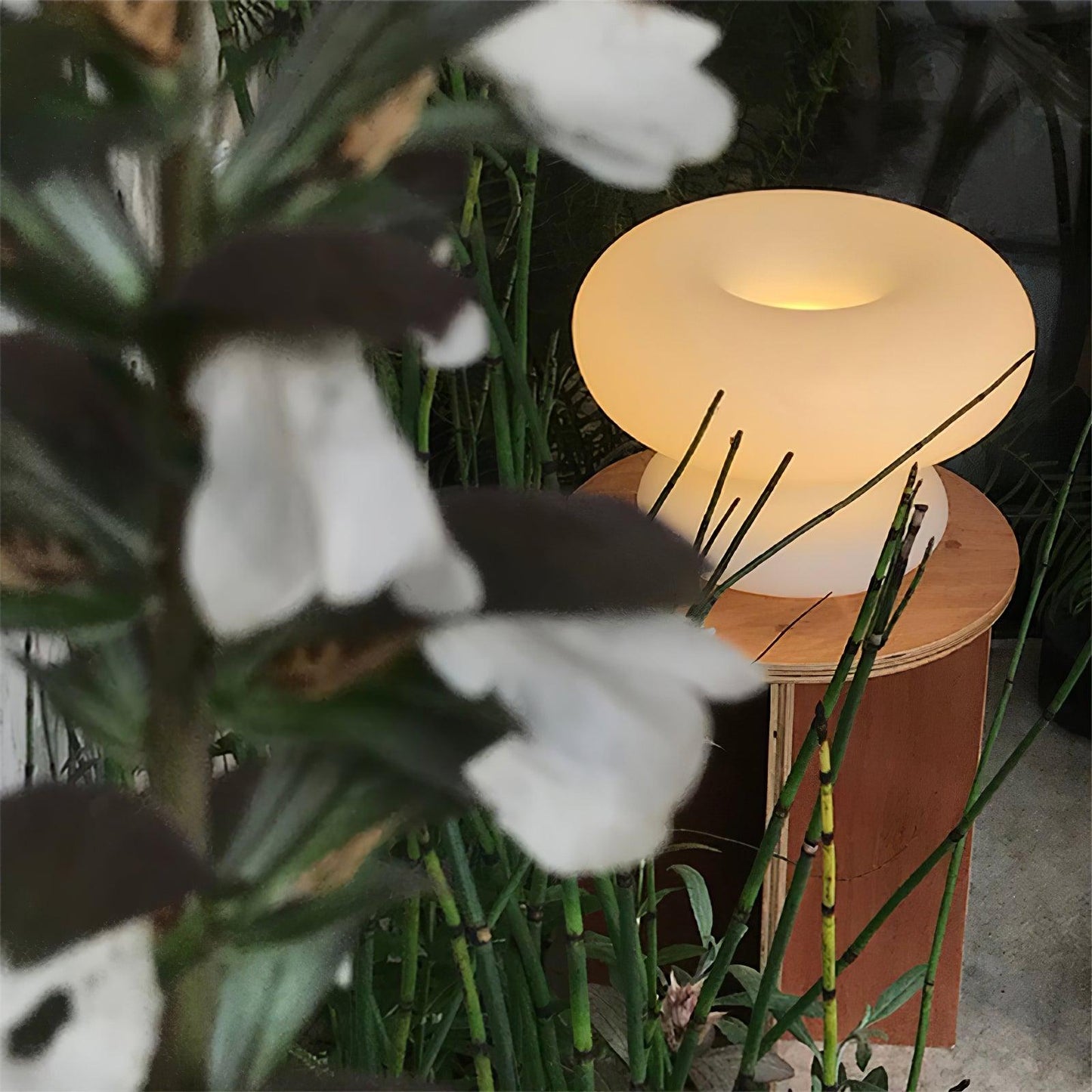 Garduru Tischlampe – Verspielt und doch Elegant LED Akzentbeleuchtung