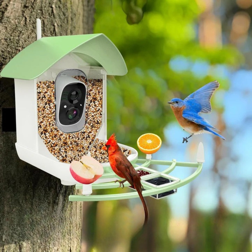 Vogelfutterstation mit intelligenter Kamera und Nachtsicht - BirdWatch Pro
