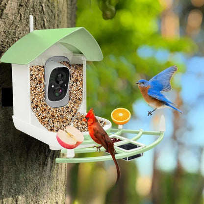 Vogelfutterstation mit intelligenter Kamera und Nachtsicht - BirdWatch Pro