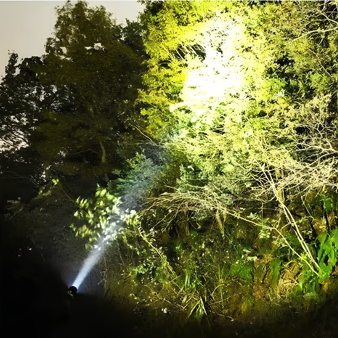 Wiederaufladbare LED-Taschenlampe mit langem Strahl
