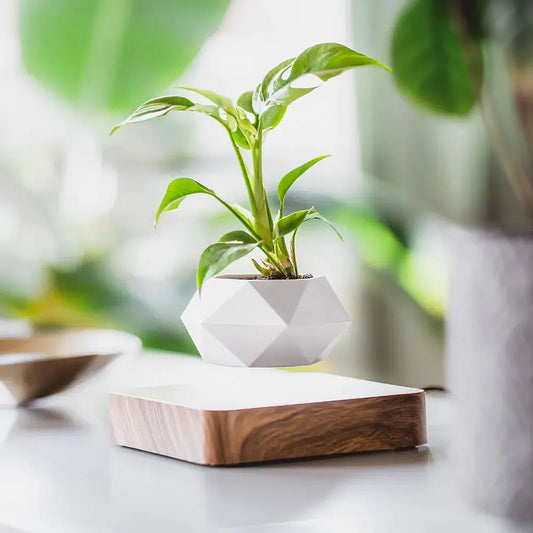 LeviFlora – Luxuriöser schwebender Pflanztopf mit geometrischer Eleganz