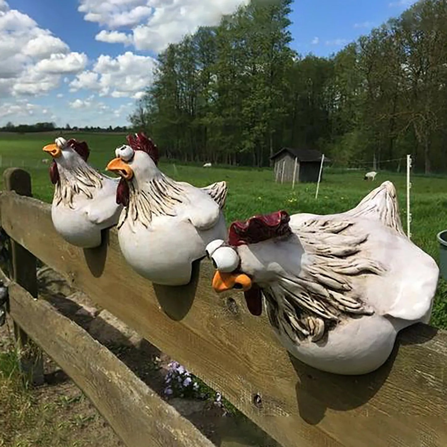 GardenChicken | Schöne Gartendekoration