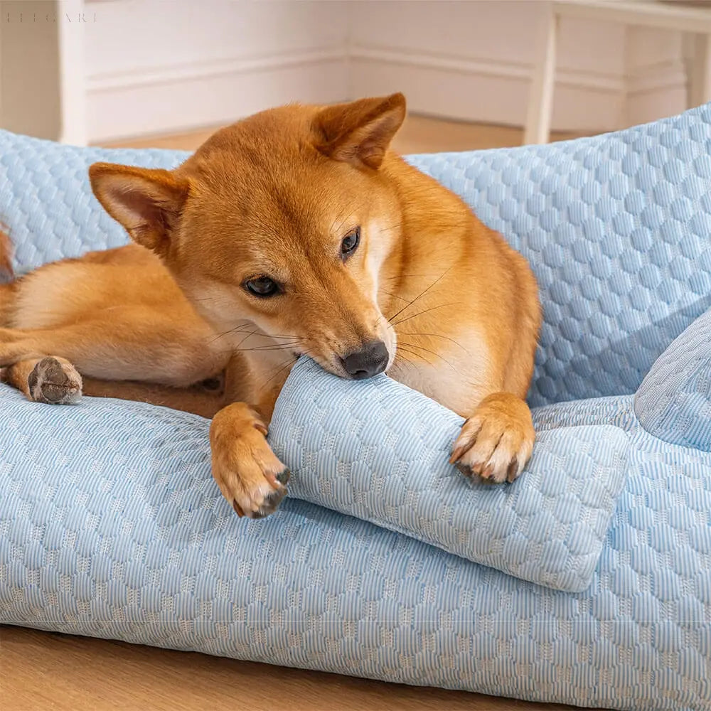 Waschbares Plüschkissenbett für Haustiere - CozyPaws