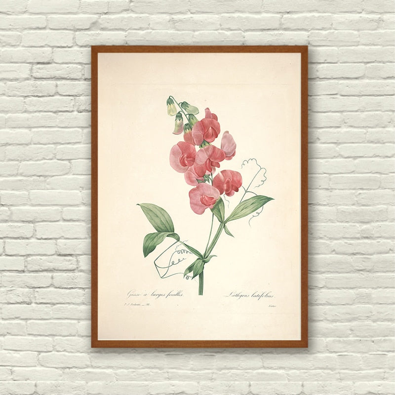 "Vuokko" Vintage Botanische Drucke Leinwand Kollektion