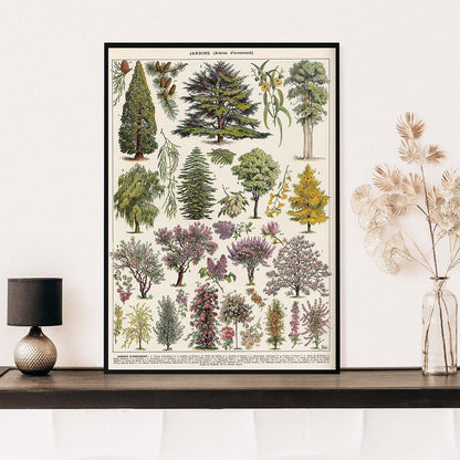 "Lemmikki" Vintage Botanische Drucke Leinwandkollektion