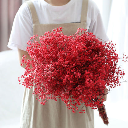 Natürliche getrocknete konservierte Blumen Gypsophila Blumensträuße