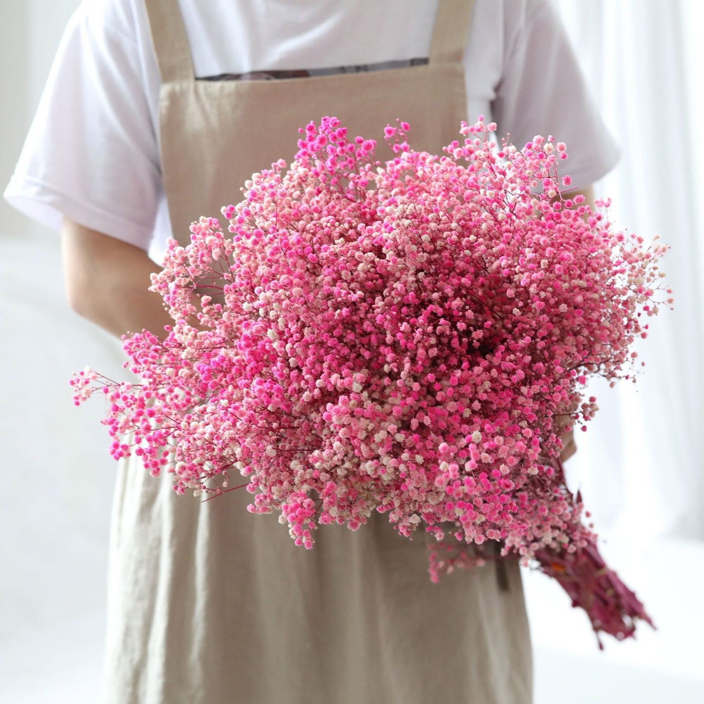 Natürliche getrocknete konservierte Blumen Gypsophila Blumensträuße