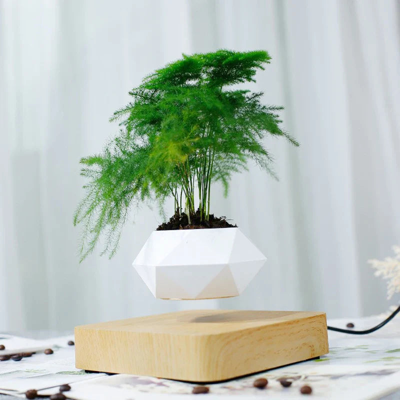 Schwebender Air Bonsai Topf – Magnetischer schwebender Pflanzenkübel für moderne Schreibtischdekoration