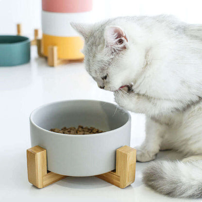 Kat Keramisch Futter- und Wasserschalen (850ml) Mittelgroße Hunde und große Katzen