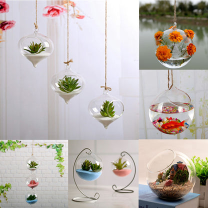 Schwebendes Glasvase-Terrarium