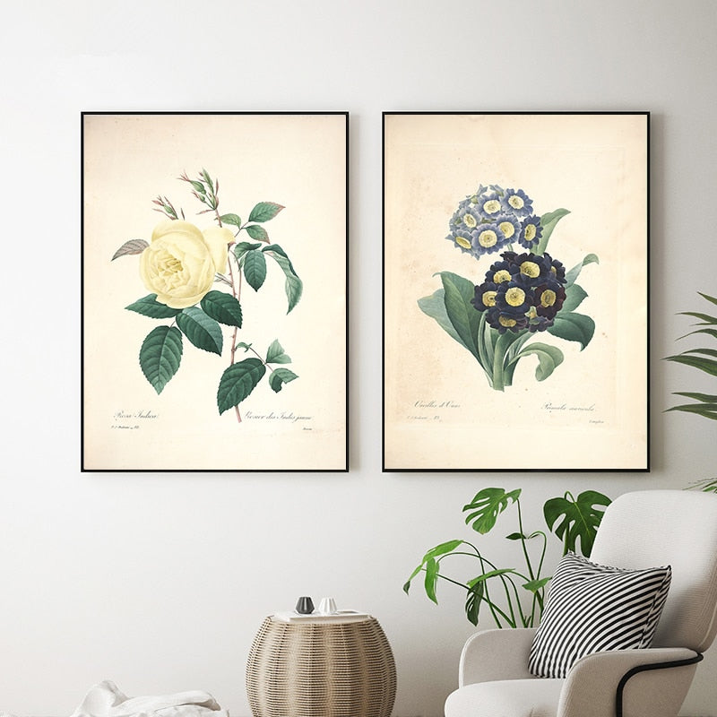 "Vuokko" Vintage Botanische Drucke Leinwand Kollektion