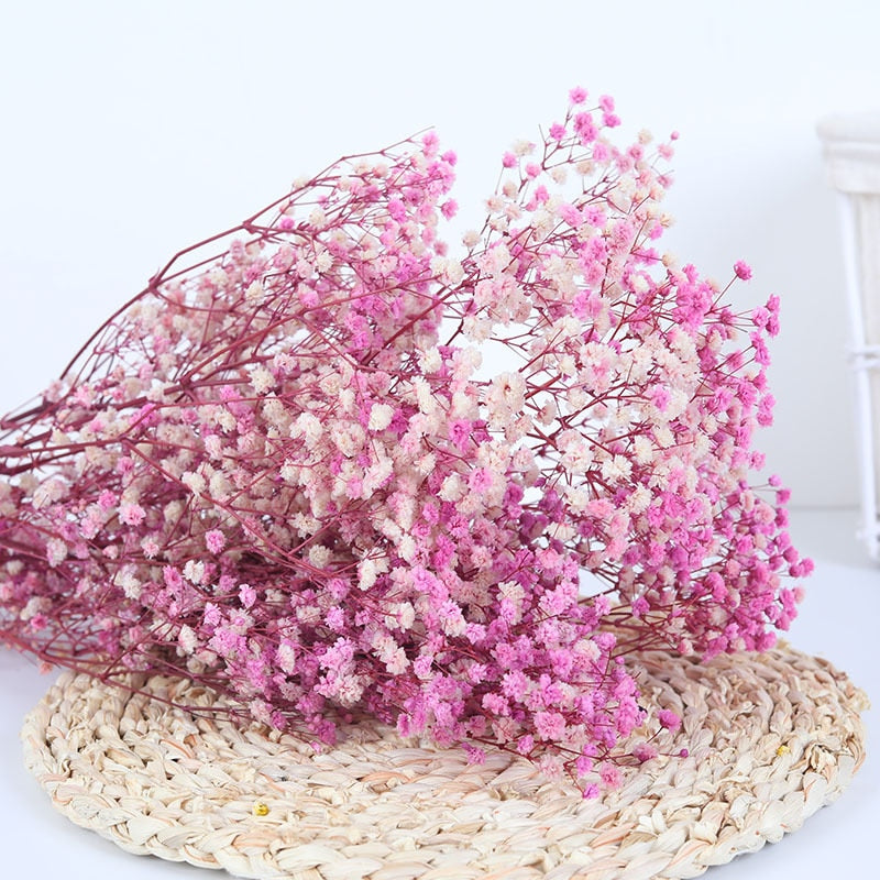 Natürliche getrocknete konservierte Blumen Gypsophila Blumensträuße