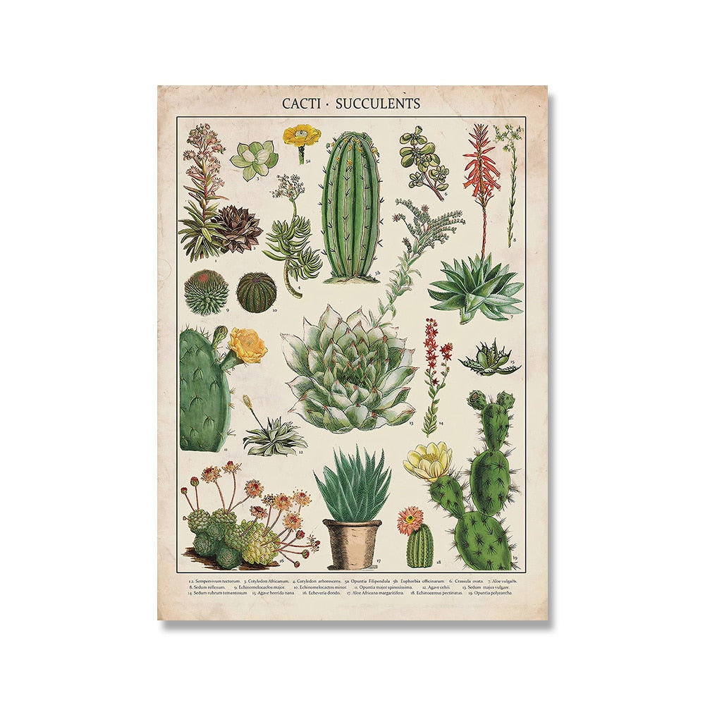 "Lemmikki" Vintage Botanische Drucke Leinwandkollektion