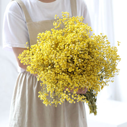 Natürliche getrocknete konservierte Blumen Gypsophila Blumensträuße