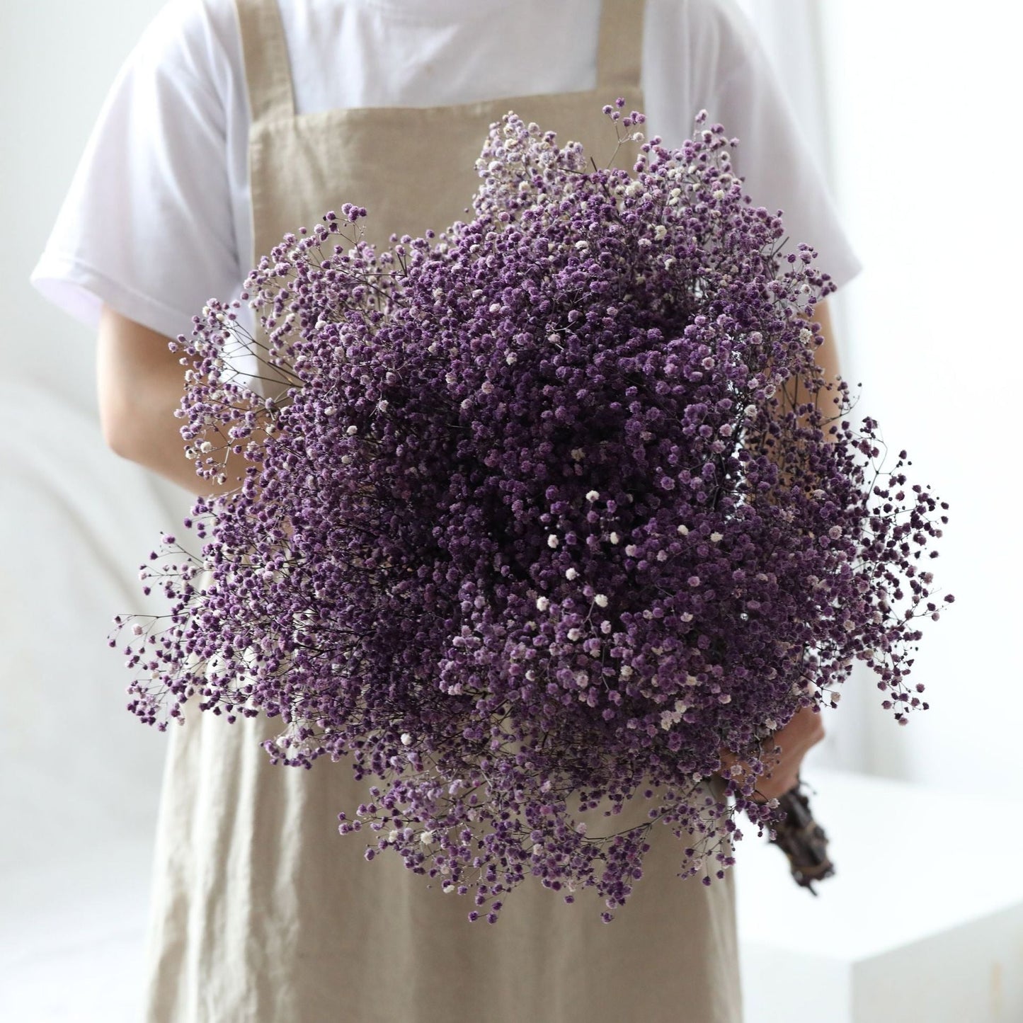 Natürliche getrocknete konservierte Blumen Gypsophila Blumensträuße