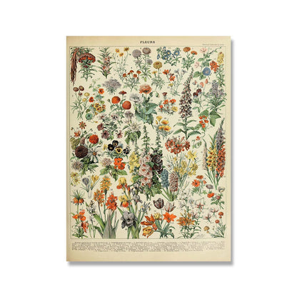 "Lemmikki" Vintage Botanische Drucke Leinwandkollektion