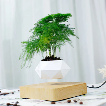 Schwebender Luft-Bonsai-Topf – Magnetischer schwebender Pflanzer für stilvolle Innenbegrünung