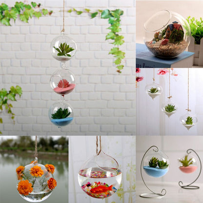 Schwebendes Glasvase-Terrarium